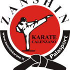 Zanshin Karate