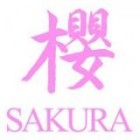 Festa dell’Associazione Sakura